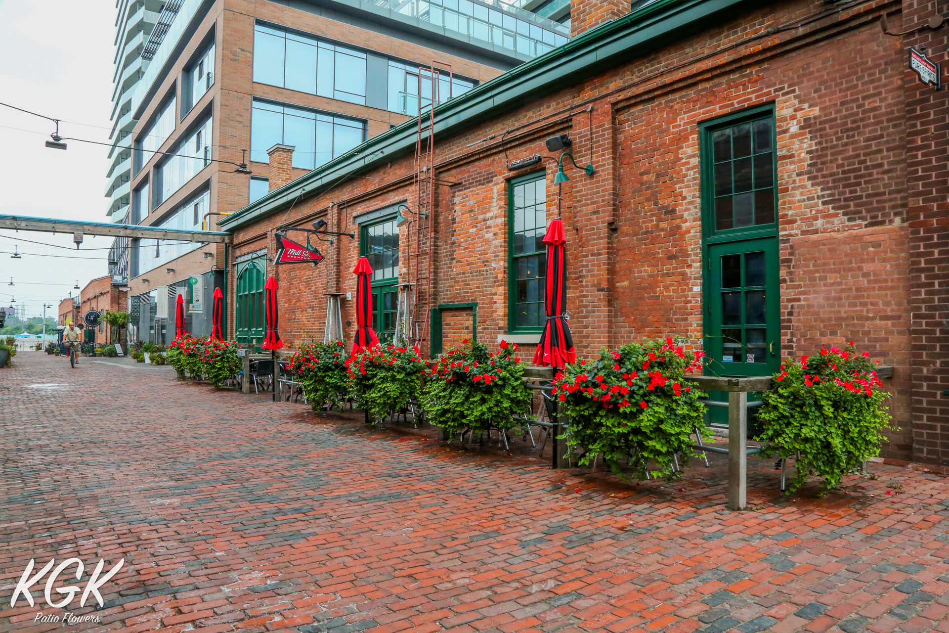 Beautiful patio flowers